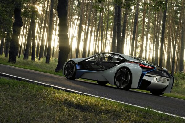 Sports car on the road in the forest