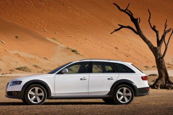 Audi Crossover car sunset landscape