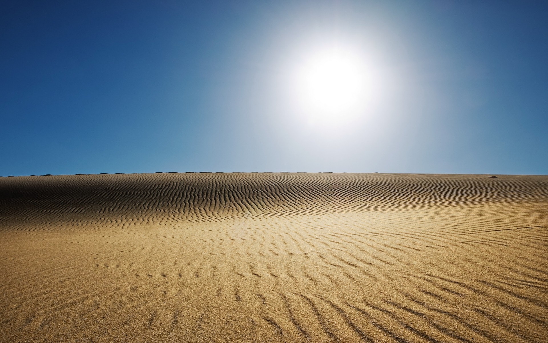 paysage sable dune désert chaud stérile sec aride plage paysage nature unique soleil beau temps voyage été ciel fond