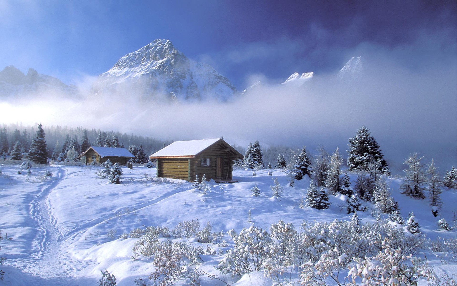 invierno nieve frío congelado escarcha hielo madera cabaña chalet escénico montañas paisaje nevado temporada clima árbol resort escarchado ventisquero evergreen árboles