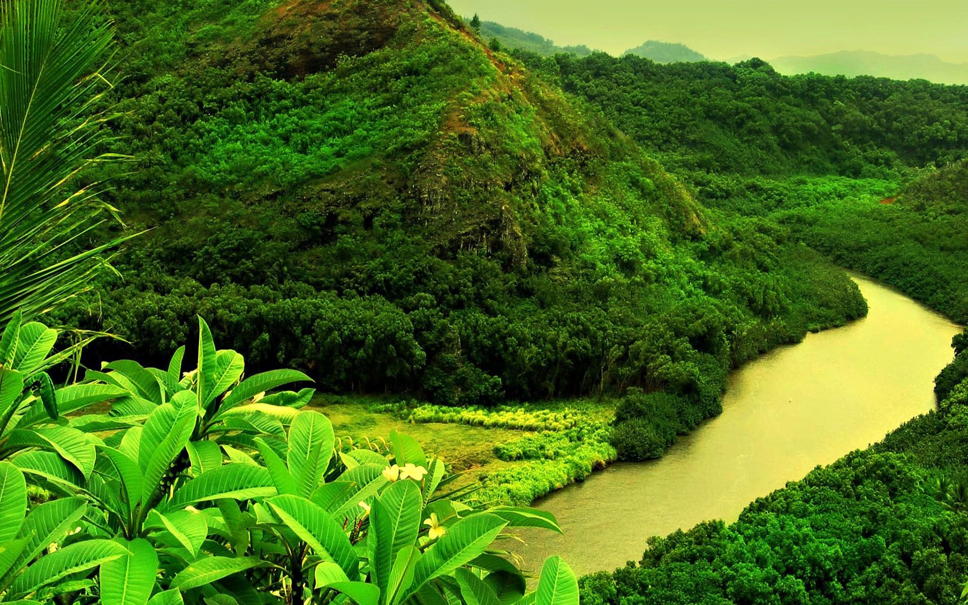 paesaggio natura tropicale acqua paesaggio viaggi foglia albero all aperto lussureggiante legno flora estate scenic montagna crescita erba ambiente collina foresta pluviale primavera alberi