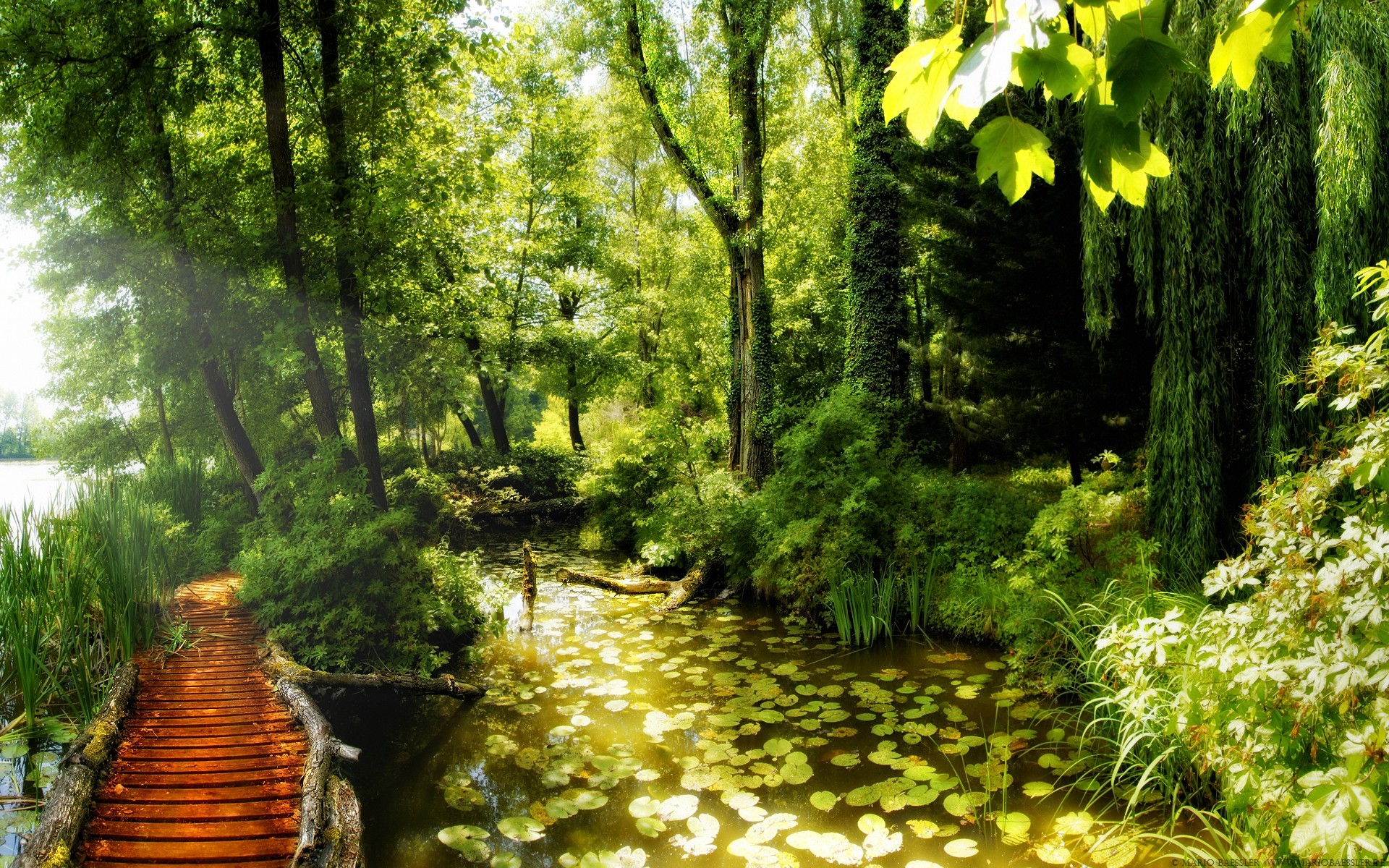 paisaje madera naturaleza hoja árbol al aire libre paisaje escénico parque buen tiempo exuberante agua guía verano medio ambiente camino viajes otoño río lago árboles hierba plantas fondo