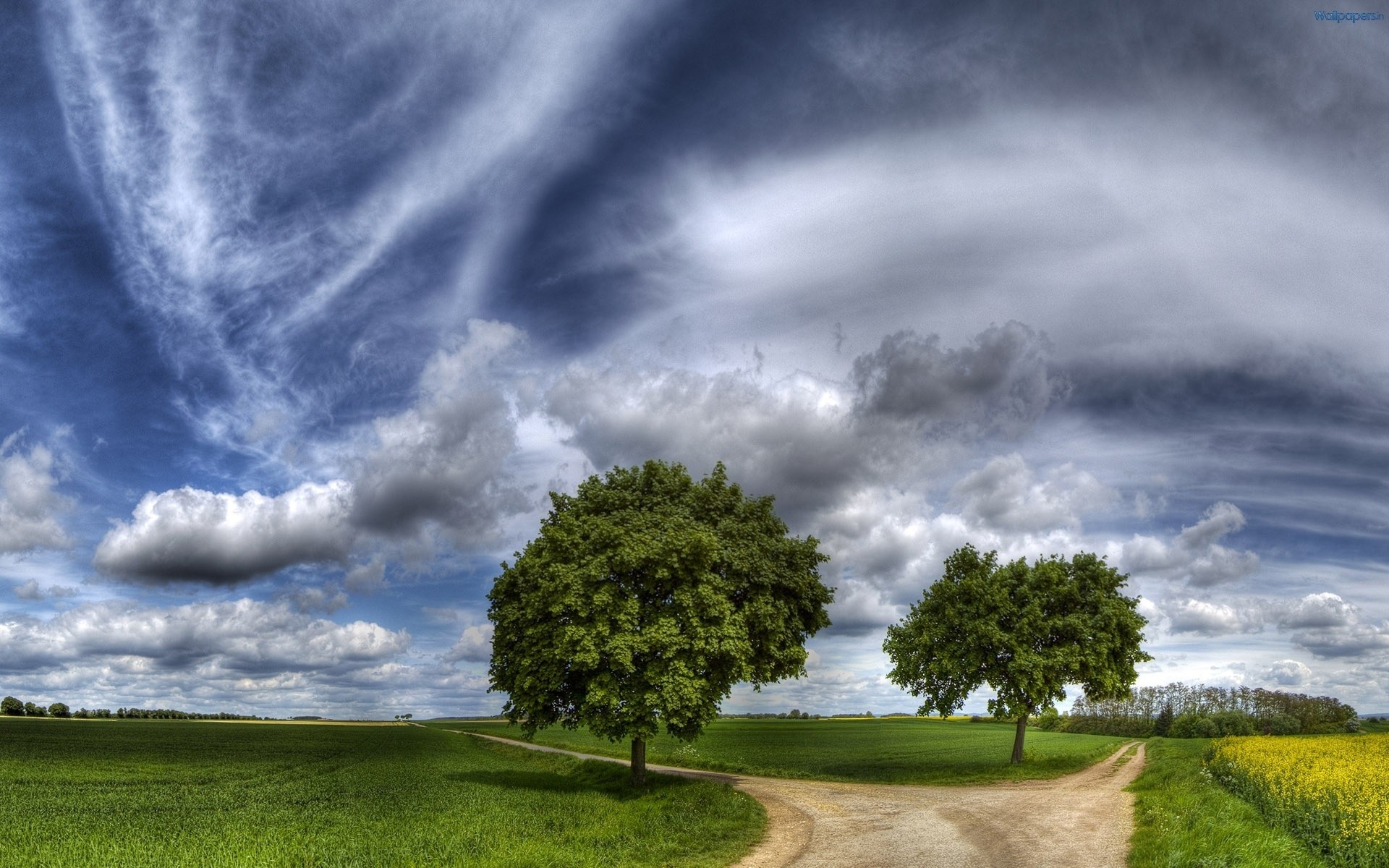 landschaft sturm himmel natur landschaft gras im freien ländliche wetter wolke regen gewitter landschaft sommer dramatisch baum sonne sonnenuntergang gutes wetter bewölkt grün hintergrund