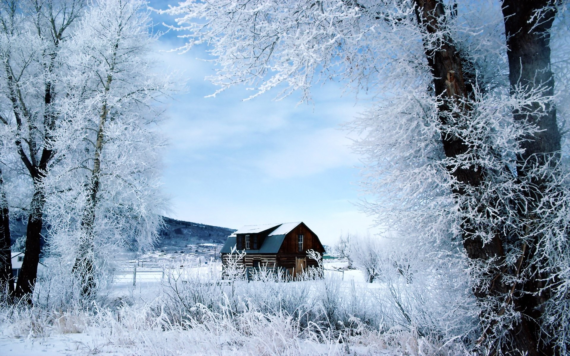 winter schnee frost kälte gefroren holz eis frostig wetter jahreszeit landschaft schnee-weiß baum natur eisig landschaftlich verschneit haus bäume