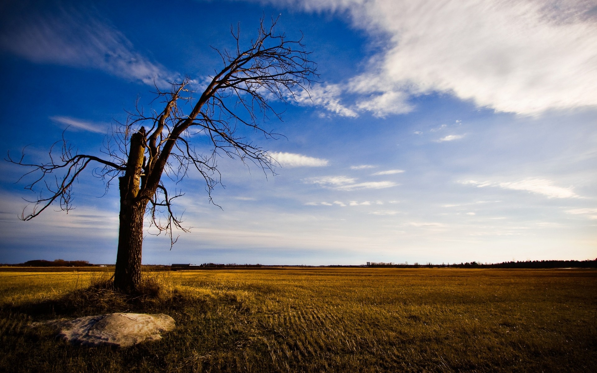 paisaje paisaje puesta de sol naturaleza cielo árbol amanecer otoño sol al aire libre luz campo hierba buen tiempo madera noche rural fondo