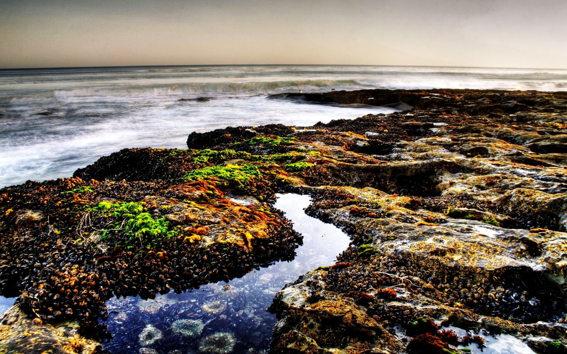 paysage eau coucher de soleil mer plage océan mer paysage paysage voyage ciel crépuscule nature aube soir surf à l extérieur sable rock rivage fond été