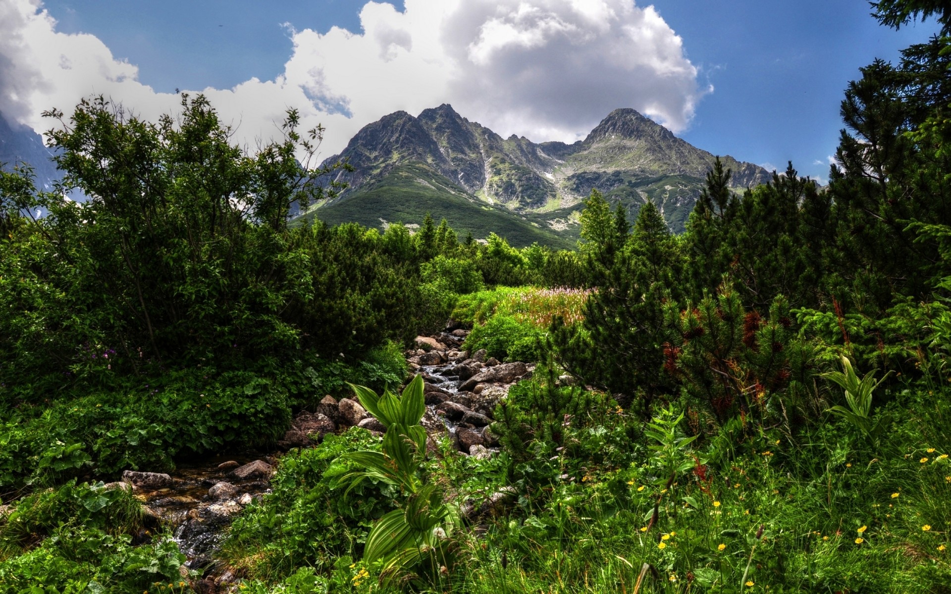 landscapes mountain travel nature landscape outdoors wood sky tree scenic summer valley hill daylight rock spring river forest source green