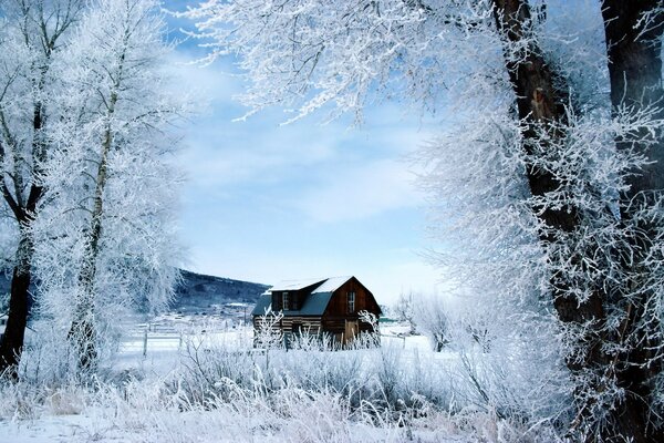 Winter in the country. Beauty of the season