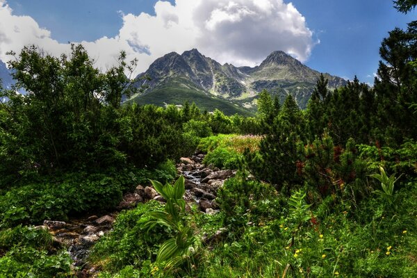 Natural landscape of a beautiful mountain