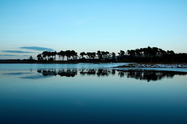 Lake, reflection of trees in it, twilight