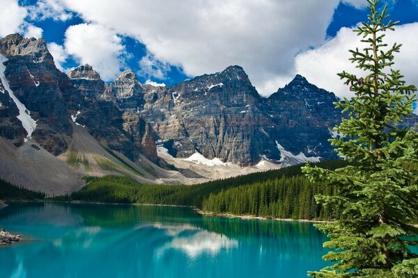 Les nuages se sont accrochés aux sommets des montagnes. Lac propre au pied des montagnes. Sapin vert. Aire protégée