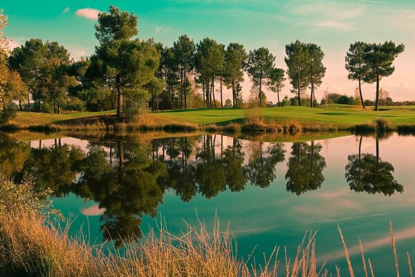 El mundo circundante en el reflejo del lago