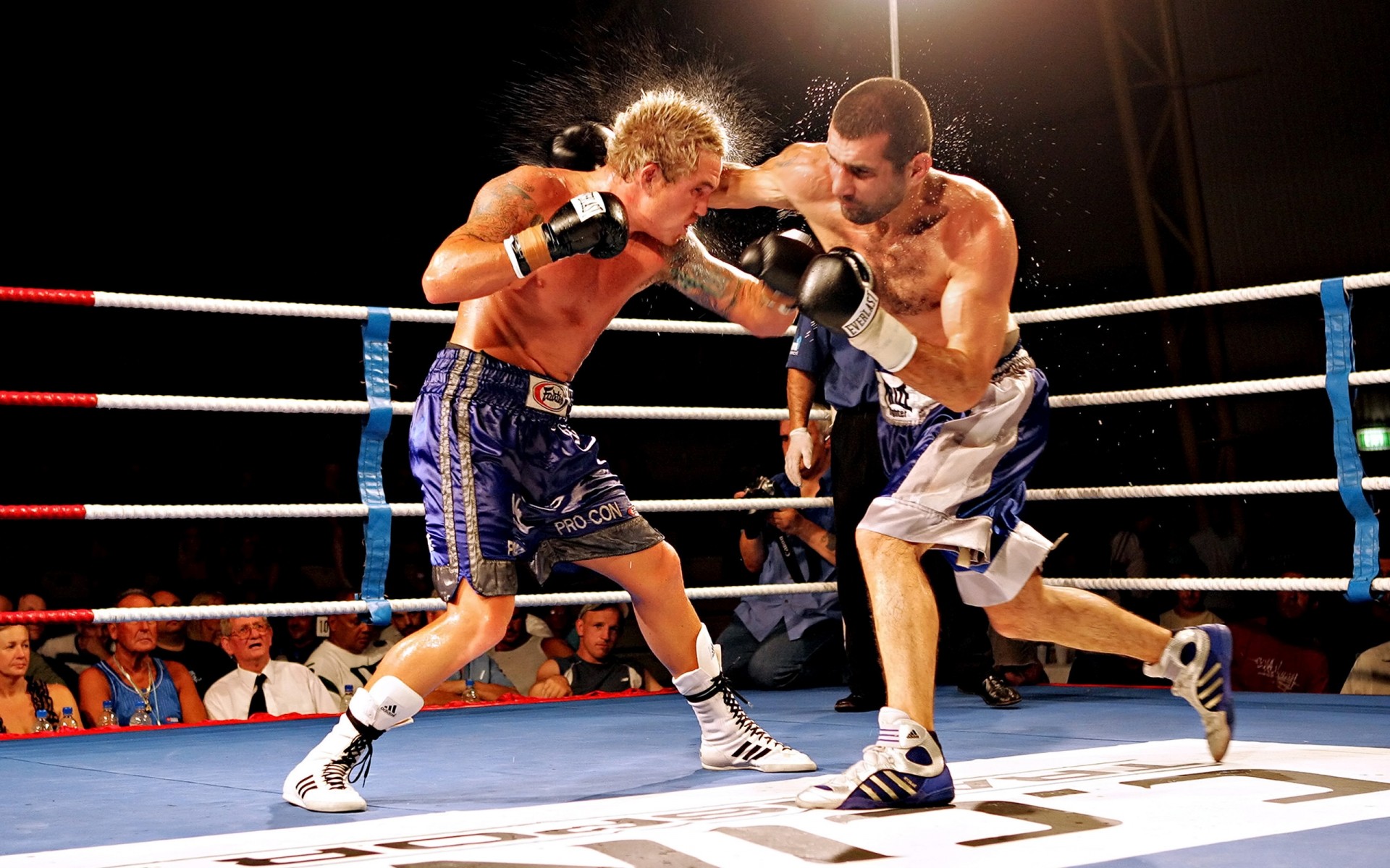 boxen boxer wettbewerb punsch kampf aggression kämpfer handschuhe knockout kraft sportler erwachsener mann kampf aktion macht stark klicken sie auf kampfkunst klopfen kampf