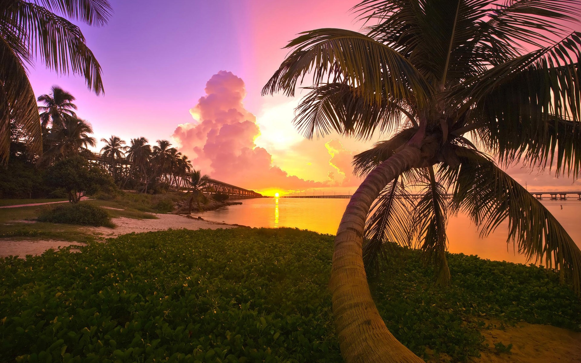 paysage palm plage tropical arbre mer noix de coco soleil exotique île coucher de soleil voyage station été océan nature vacances sable paradis ciel nuages