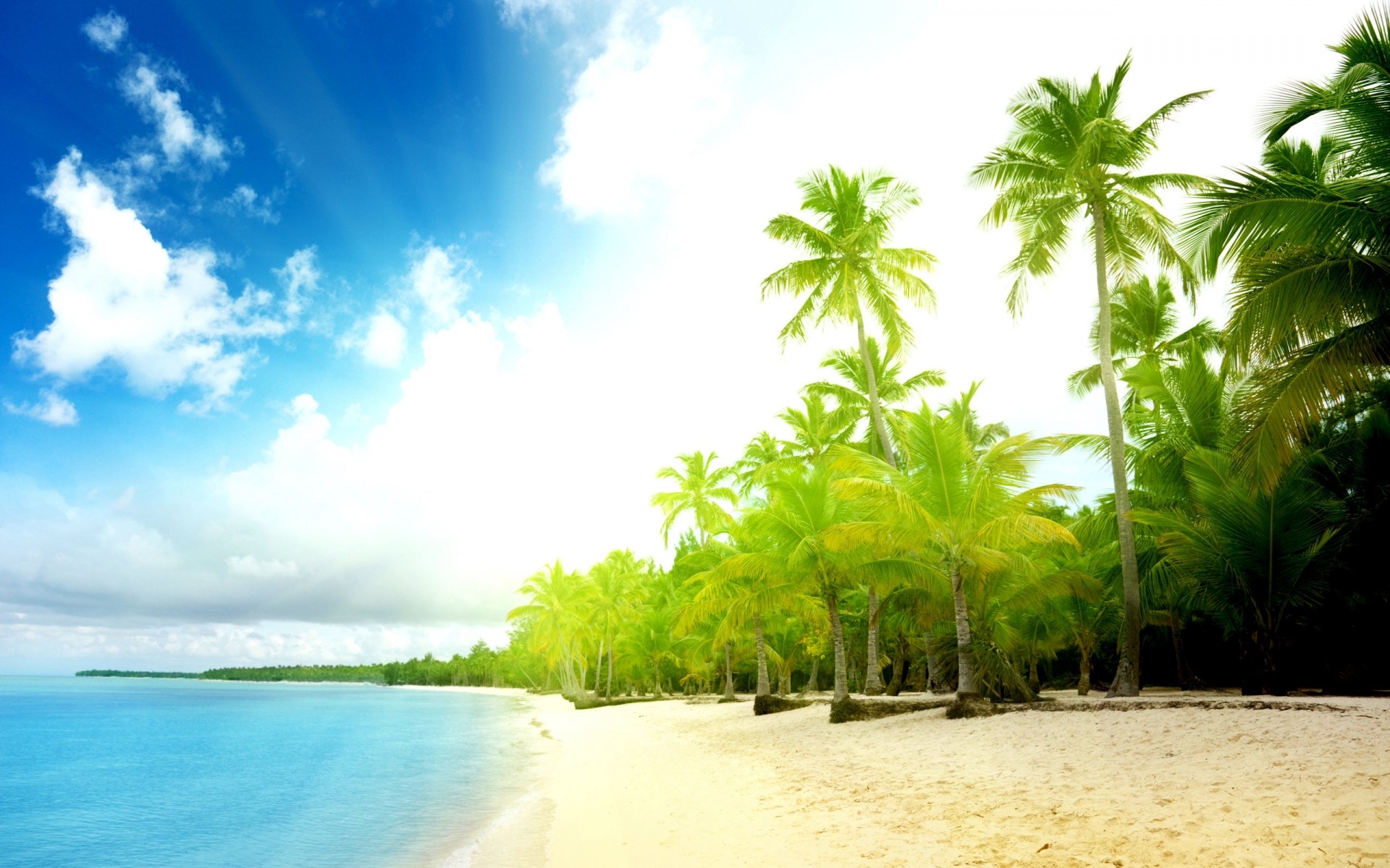 landscapes tropical beach sand summer sun travel idyllic seashore palm resort coconut water paradise exotic vacation island nature ocean tree fair weather sea palms