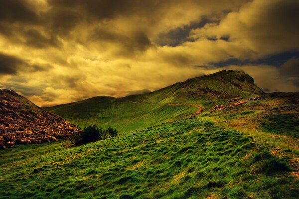 Green hills. Sunset