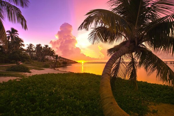 A tropical beach lights up the sunset