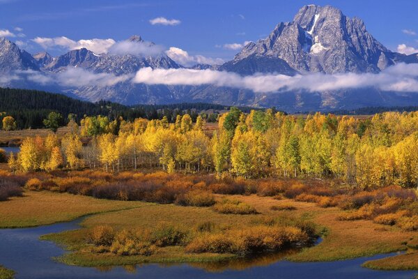 Mountain peaks in the snow. Clouds around mountain peaks. Autumn forest at the foot of the mountains