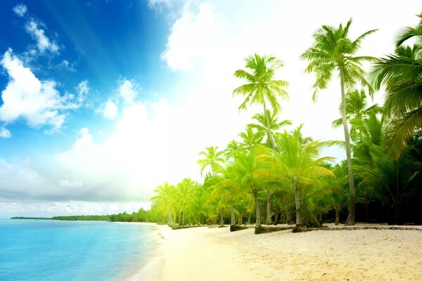 Île tropicale avec vue sur la plage