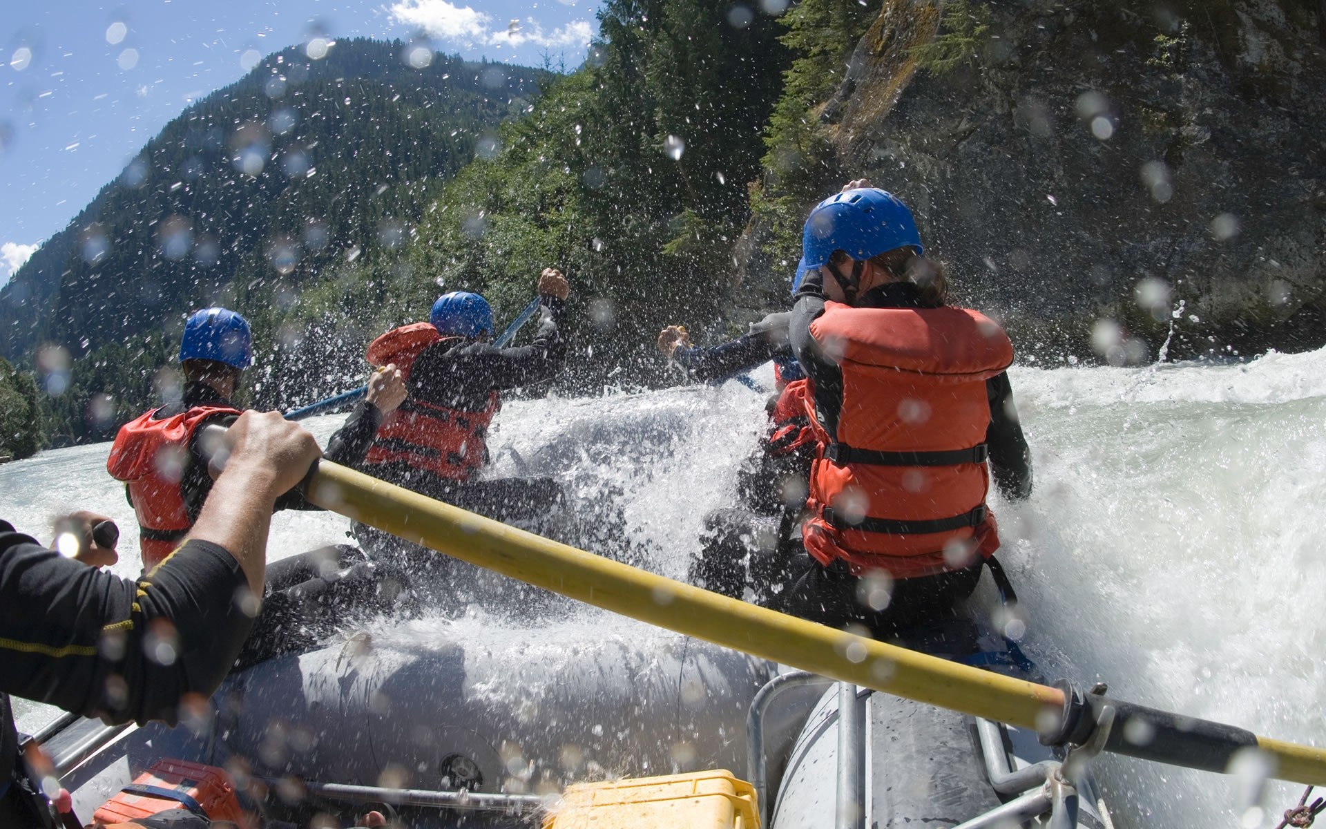 deportes ocio navegante coche competencia movimientos trabajo en equipo kayak hombre acción adulto casco deportes acuáticos grupo aventura remo rapids remo agua excitación extremo