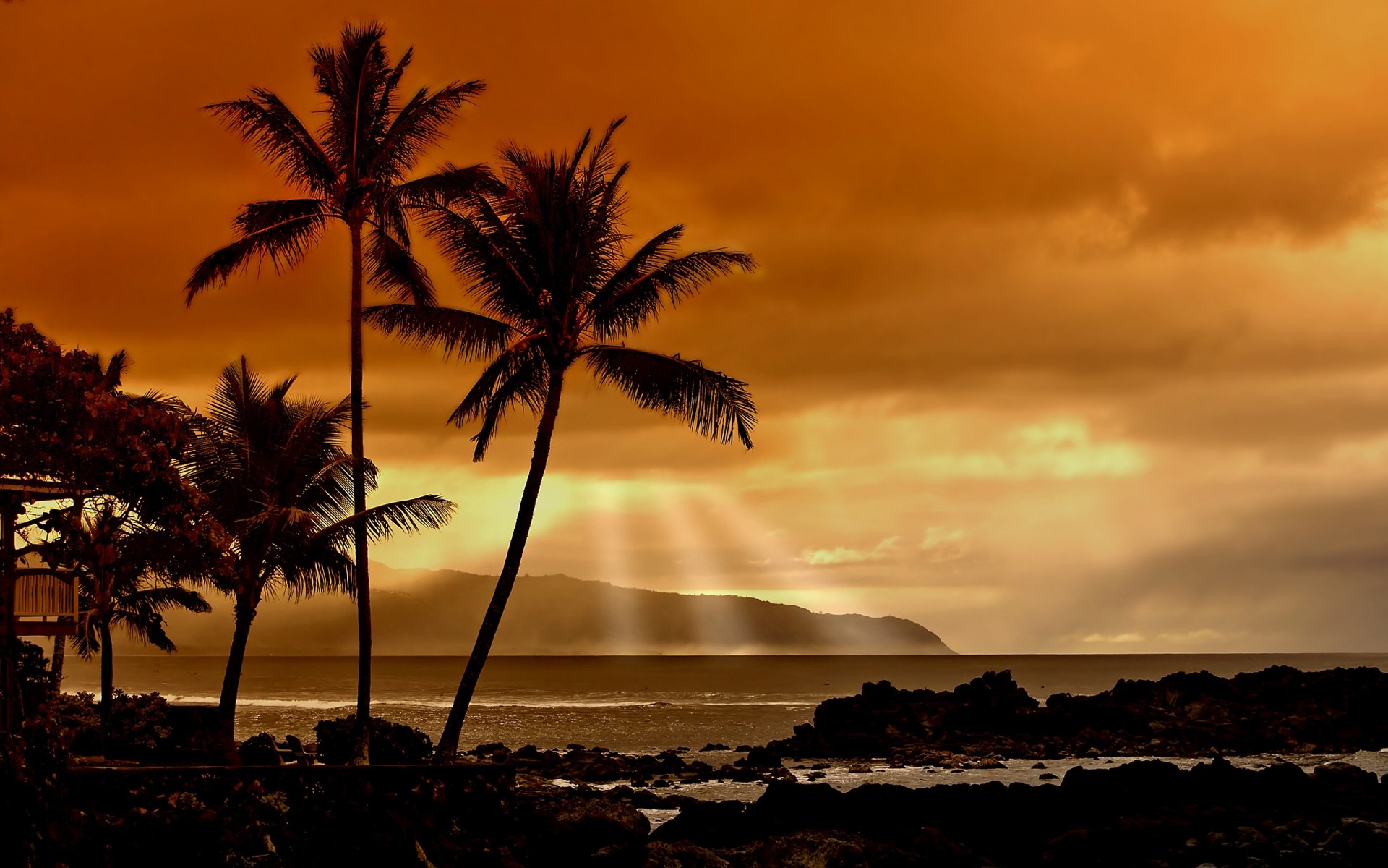 landscapes beach sunset sun ocean dawn seascape seashore water tropical island sea backlit silhouette sand evening dusk sky fair weather palm palmier