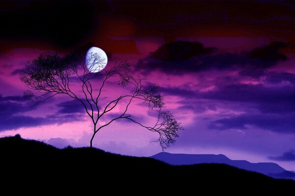 Луна за деревом на ночном небе