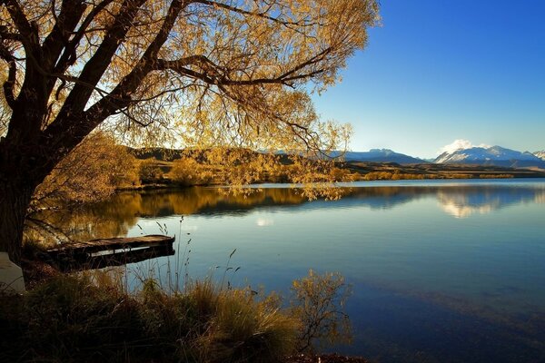 Paisaje de otoño junto al lago