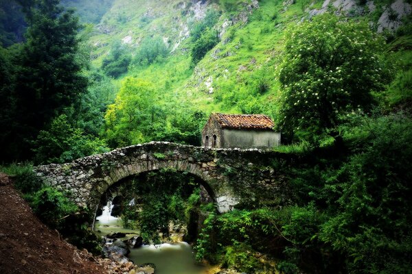 A house near the bridge and hills