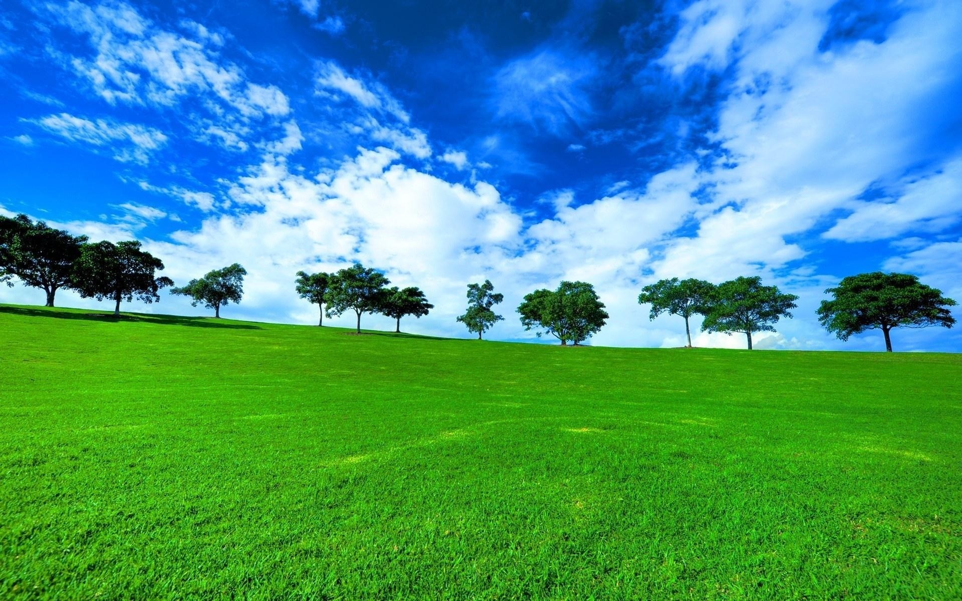 paysage herbe paysage pelouse nature foin champ été rural soleil idylle beau temps horizon ciel campagne arbre pâturage fond printemps