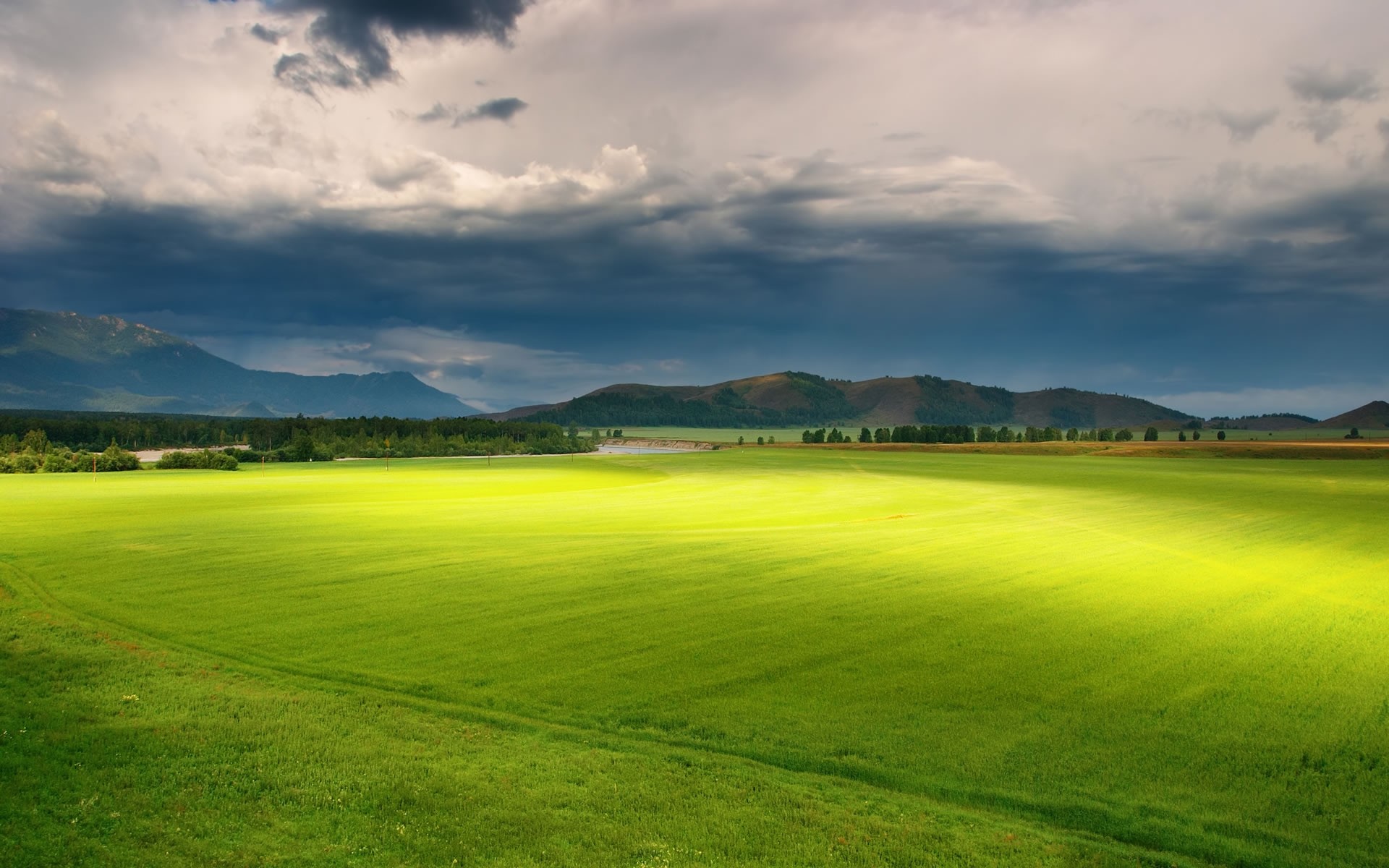 paysage herbe golf rural paysage nature été campagne foin champ ciel pâturage à l extérieur beau temps pelouse soleil lumineux pâturage arbres fond