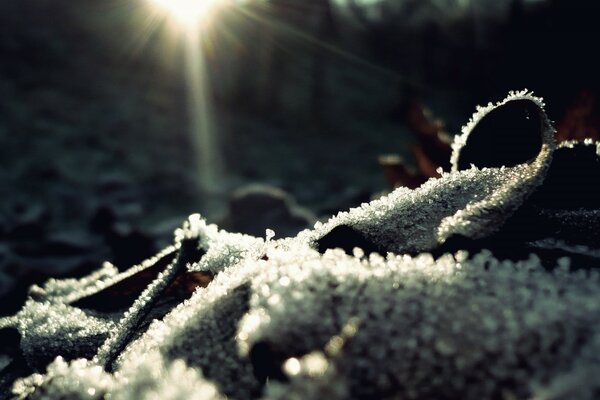 Winterfrost und Boden im Freien