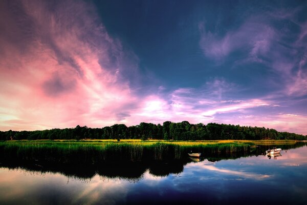 Gün batımı gökyüzünün arka planına karşı göl kıyısında yoğun bir orman
