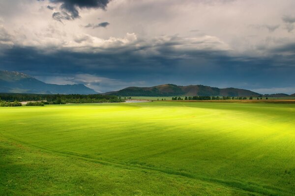 Campo verde contra el cielo con nubes