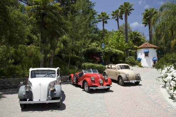 Retro, cars, brands. Mercedes Benz standing on the road