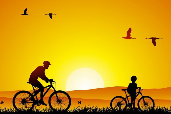 Silhouette of bicycles with wheels at sunset