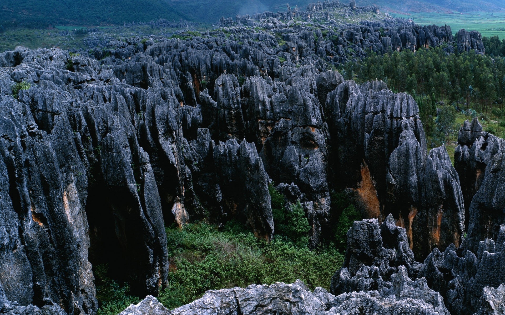 landscapes nature landscape travel rock outdoors scenic mountain sky water park geology tree limestone stones forest trees