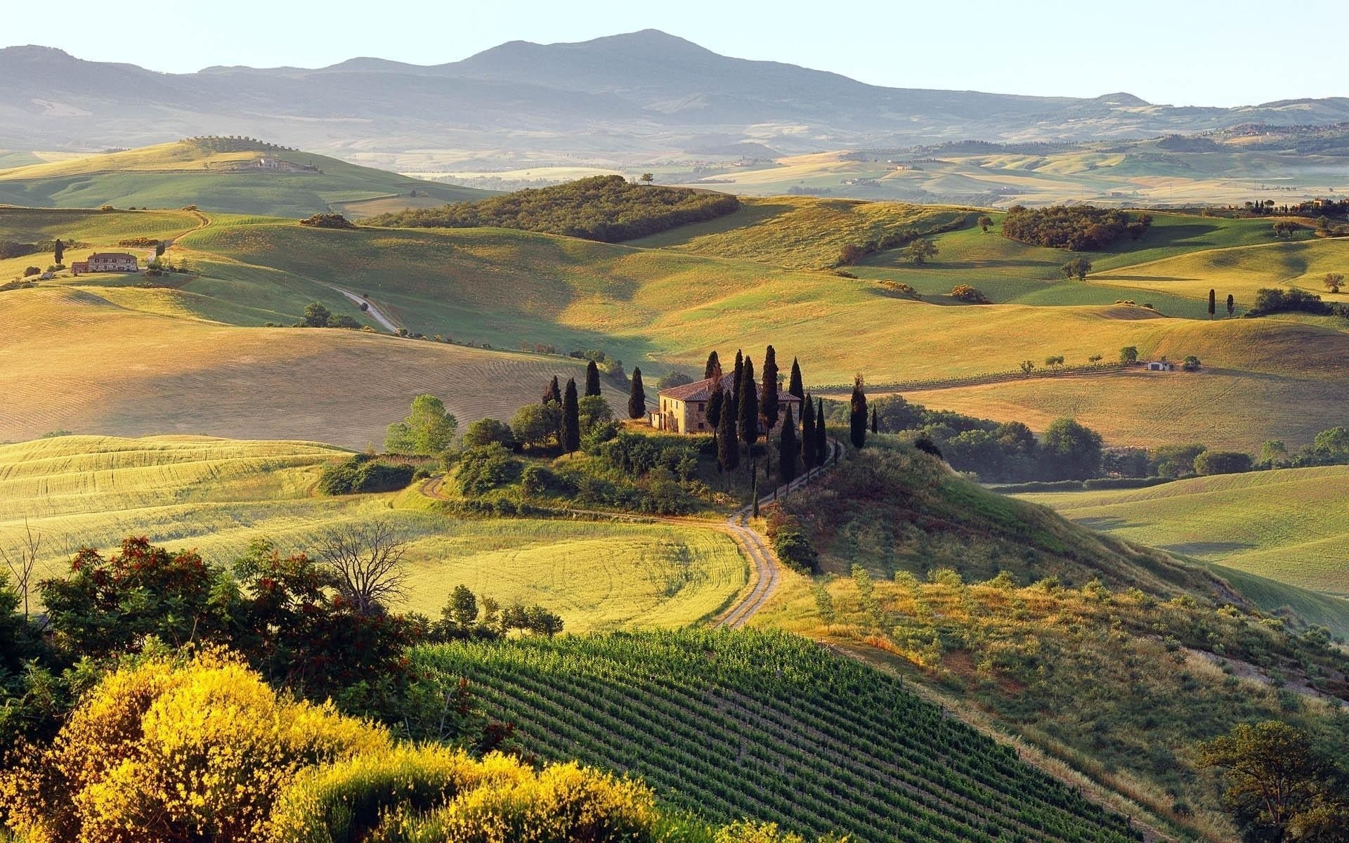 paesaggio paesaggio collina terra coltivata viaggi all aperto scenico natura valle agricoltura montagna cielo campagna campo erba pascolo rurale azienda agricola luce del giorno piante gras paesaggio primavera