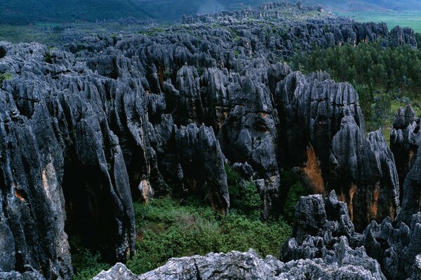 Rocas negras erosionadas por el viento rodeadas de bosques