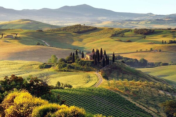 Bella vista della vastità del castello