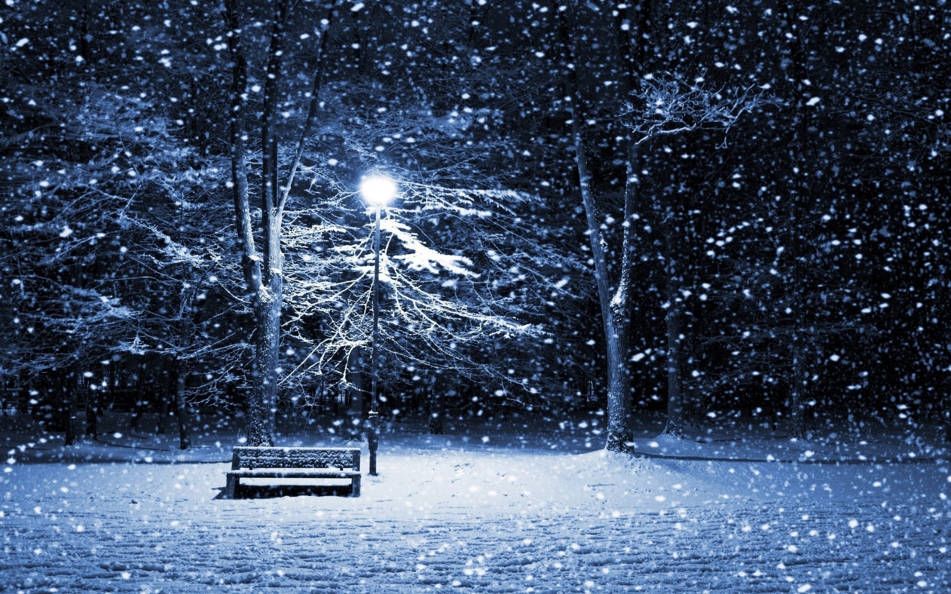 hiver neige nature froid saison arbre gel congelé glace à l extérieur météo eau paysage paysage vue arrière-plan