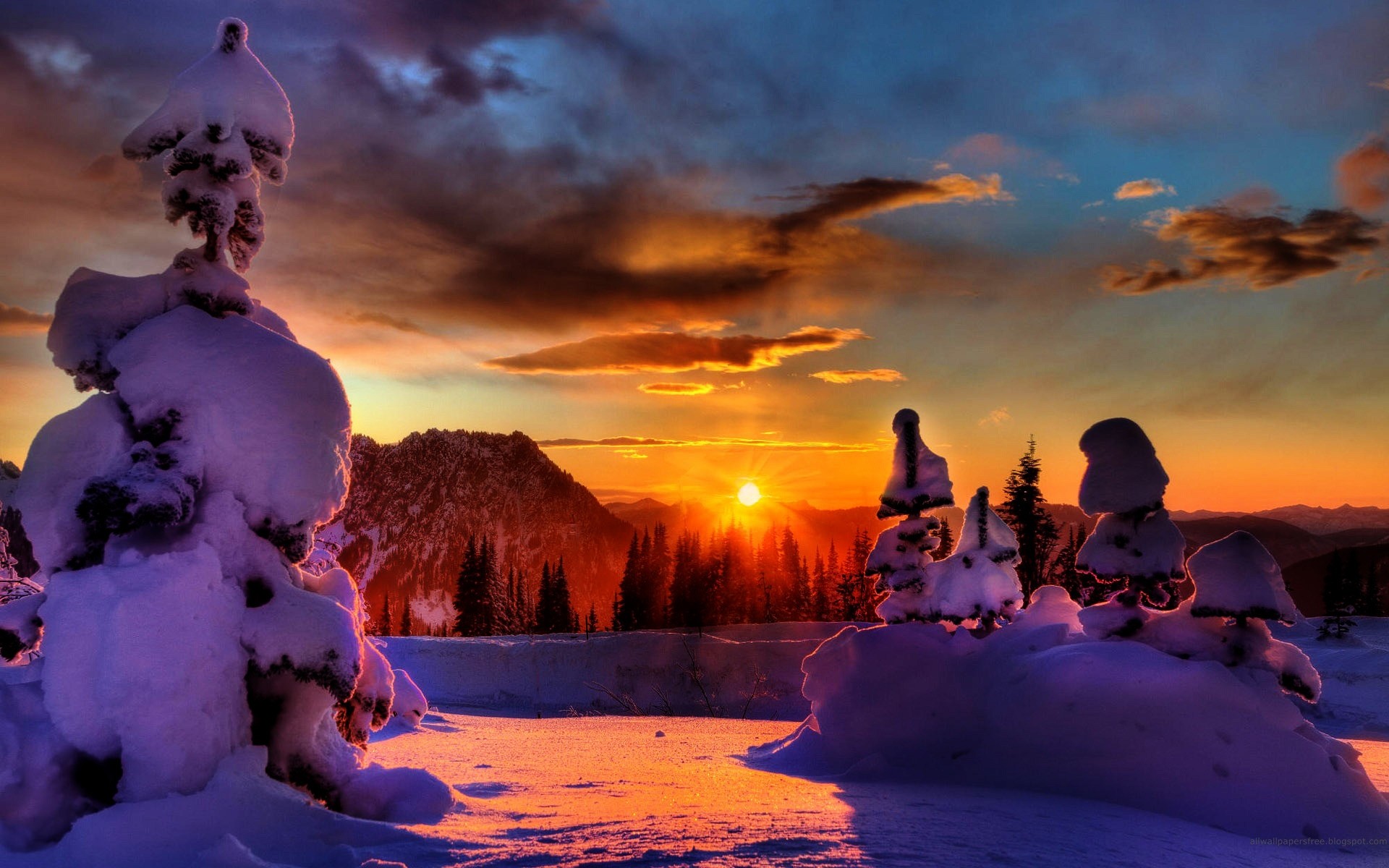 winter sonnenuntergang wasser dämmerung reisen im freien abend schnee himmel dämmerung strand mädchen landschaft erwachsener bäume hintergrund landschaften