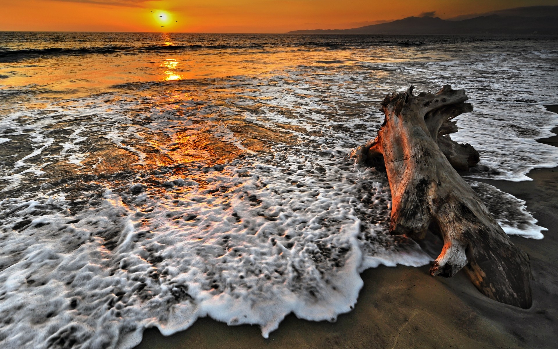 landscapes beach water sea sunset ocean sand seashore surf wave dawn sun travel nature shore seascape