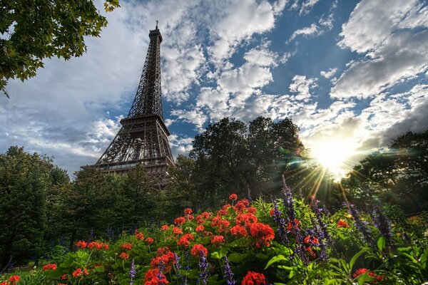 Tour Eiffel sur la clairière des fleurs