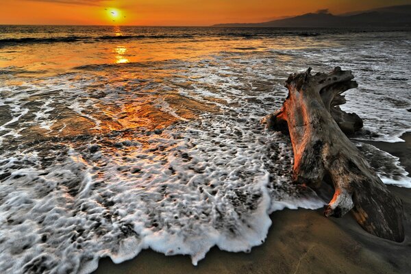 El surf de espuma Marina en los rayos del sol al atardecer baña la costa de arena