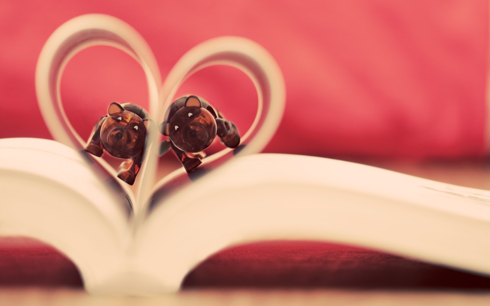 любовь свадьба цветок романтика роза натюрморт пить сердце