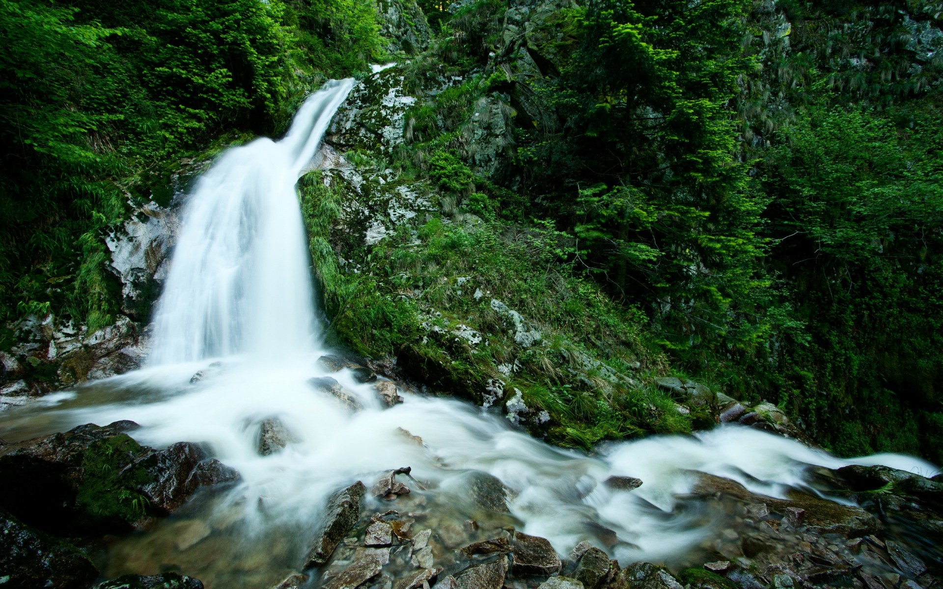 фотообробка водоспад води річка деревини природа потік пейзаж рок каскад подорожі на відкритому повітрі лист потік мох дерево дикий гори руху крик пейзажі зелений дерева фон