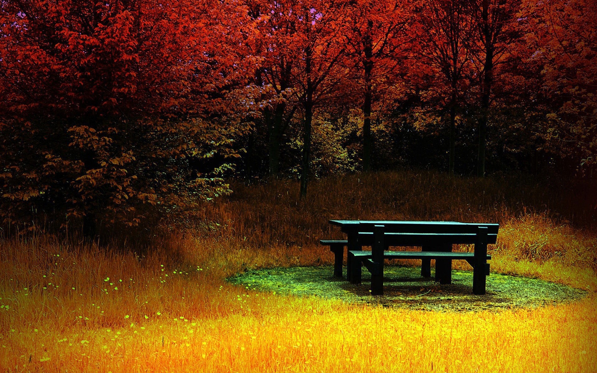 otoño otoño banco árbol paisaje amanecer madera parque naturaleza hoja al aire libre fondo paisaje