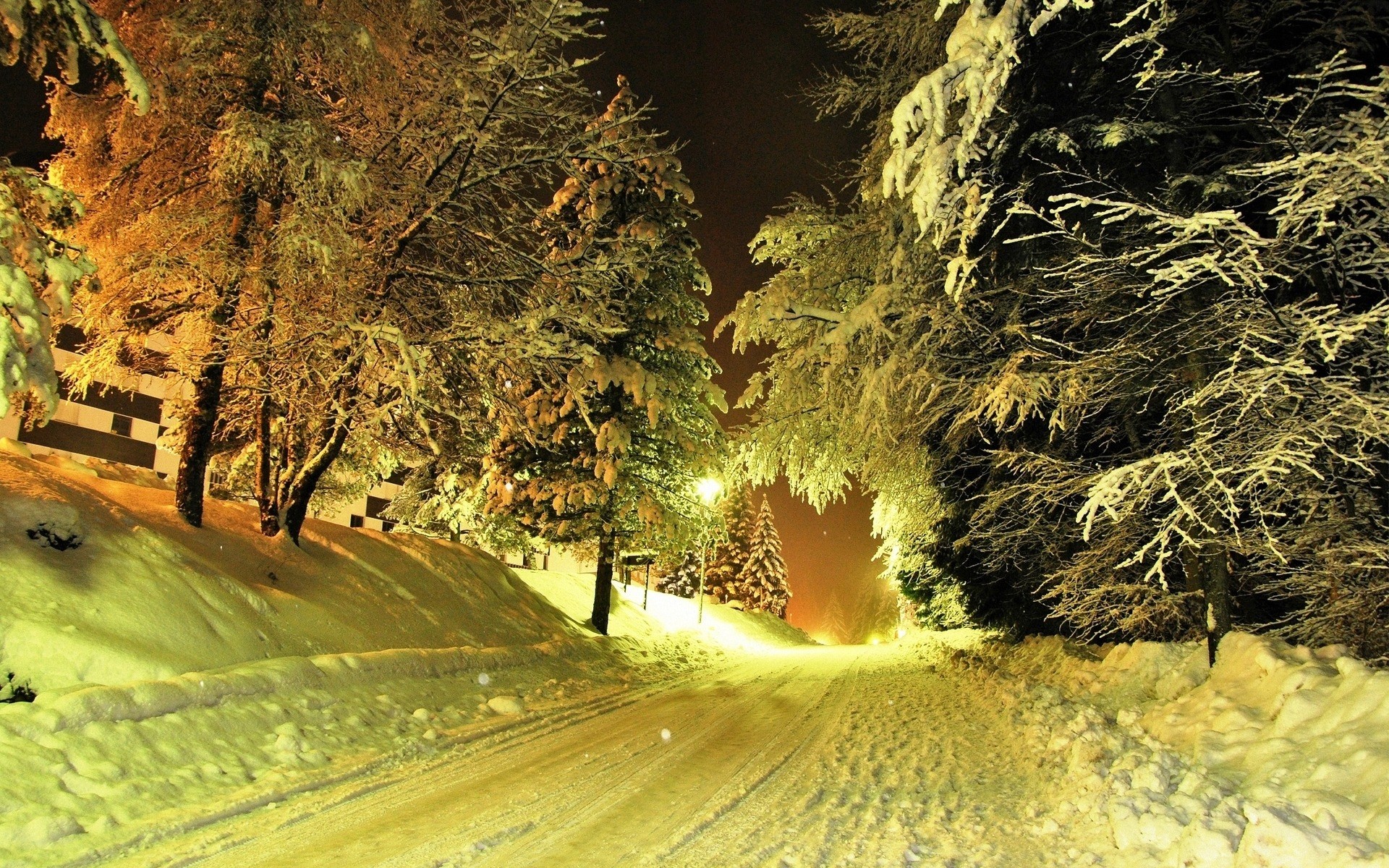 paisaje naturaleza árbol luz viajes madera al aire libre paisaje hoja carretera otoño nieve árboles luz