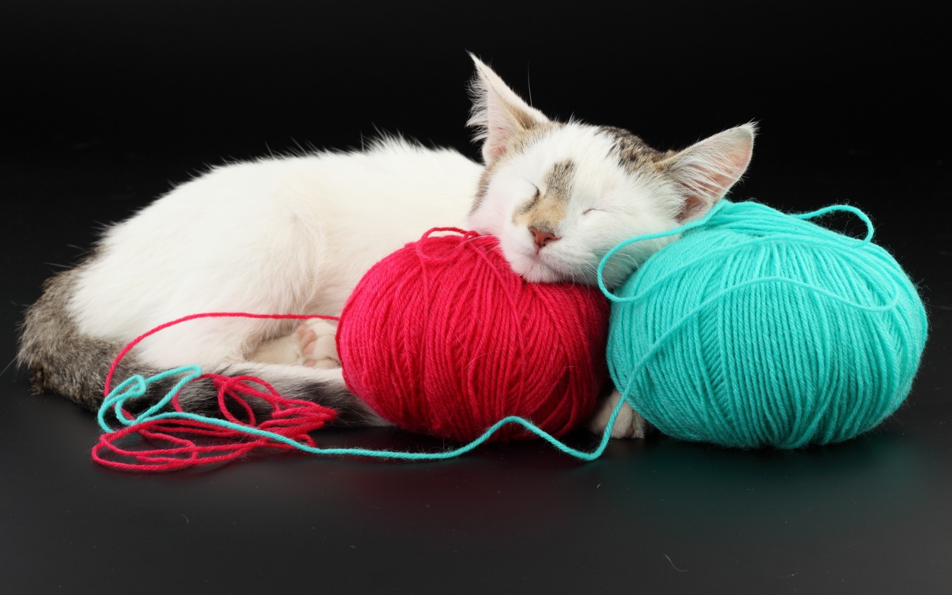 katzen faden haustier ball wolle niedlich flaumig tier katze baumwolle tiere