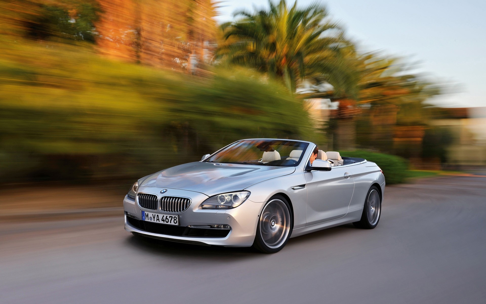 bmw voiture voiture noir asphalte trottoir midi flou dépêchez-vous rapide action cabriolet bmw série 6